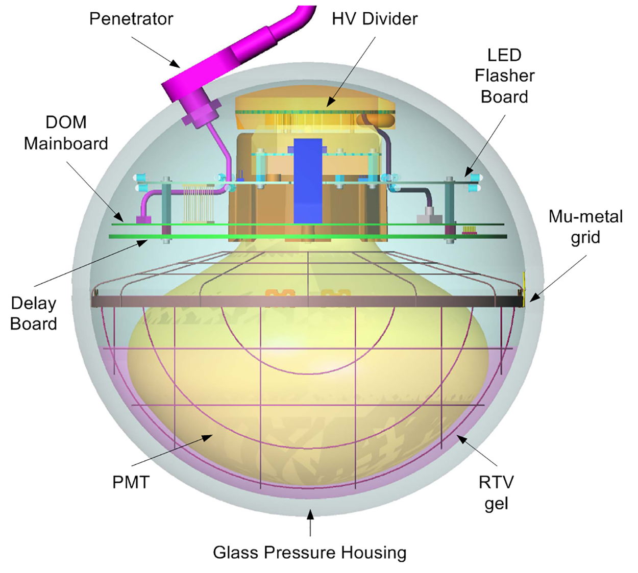 The digital optical module (DOM) is a vital part of the neutrino telescope, collecting information about neutrino interactions. The DOMs were made by scientists in the U.S., Germany, and Sweden.